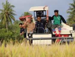 Usai Panen Raya, Mentan SYL Dorong Petani di Kabupaten Pinrang Segera Percepat Masa Tanam