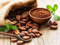 Kakao Indonesia Masuk Mesir, Kontrak Importasi Produk Bubuk Kakao Senilai USD47,500 Diteken