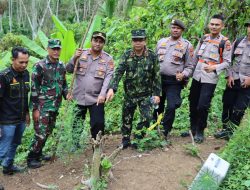 Kapolres Pidie Jaya Pimpin pemusnahan ladang ganja