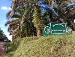 Masyarakat Pali Minta Bupati Muara Enim Serahkan Lahan Sawit Yang Masih Dikelola PT. Pemda ACB.