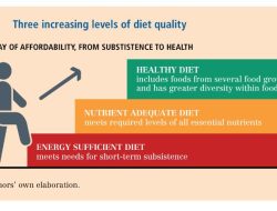 ”Manipulasi” Garis Kemiskinan Tidak Bisa Hapus Fakta Kemiskinan (Bagian 2)