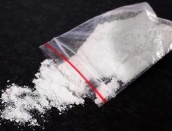 Polisi Bekuk Kades di Lampung Yang Ternyata Bandar Besar Narkoba Jaringan Sumatera