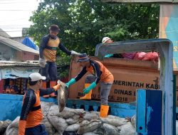 Tumpukan Sampah Mulai Diangkut, Warga Desa Bojonggede Kini Merasa Lega
