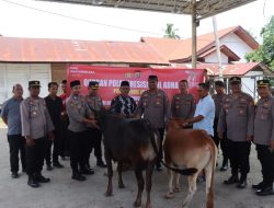 Kapolres Serahkan Dua Hewan Qurban Di Pesantren Darul Munawwarah Pidie Jaya*