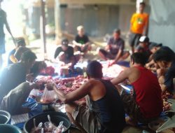 Rayakan Hari Raya Idul Adha, DPC PWRI Wajo Sembelih 3 Ekor Sapi Qurban