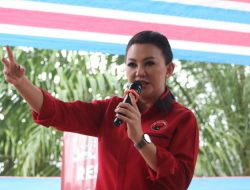Karolin minta Panglima TNI tindak pelaku penusukan warga Landak di Jakarta