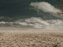 El Nino Jadi Ancaman 2023, BMKG Prediksi Puncak Kemarau Terjadi April Hingga Agustus