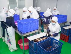Tingkatkan Potensi Ekonomi Daerah, Kemenperin Revitalisasi Sentra IKM