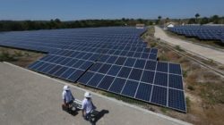Indonesia Pacu PLTS 100 GW, Prabowo Tekankan Kolaborasi Energi Bersih ASEAN