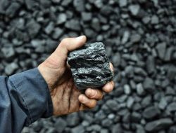 KPK temukan adanya ekspor ilegal bijih nikel ke China dari Indonesia