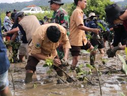 Komitmen Pada Kelestarian Lingkungan, PT IMIP Kembali Tanam 3.796 Mangrove