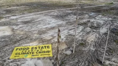 Dinilai Gagal, Anggota Komisi I DPR Dorong BPK Audit Program Food Estate