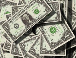 Rating Surat Utang As Turun, Perlukah Investasi Bank Indonesia Dialihkan Dari Amerika Dolar?