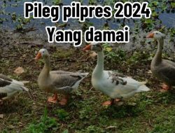 Mengawal Demokrasi Melalui Pemilu Damai