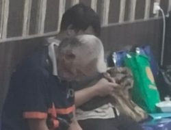Cabuli anak di bawah umur, suami Wakil Bupati Labuhanbatu diringkus
