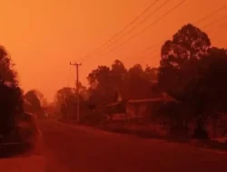 Jambi Diselimuti Kabut Asap, Warga Diminta Kurangi Aktifitas di Luar