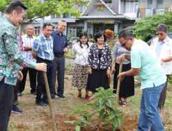 Kerjasama Penghijauan: Langkah Penting dalam Menekan Emisi Karbon