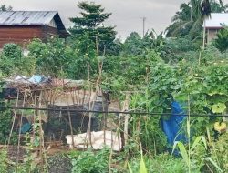 Warga Subulussalam keluhkan banyak kabel listrik melintas rendah di pemukiman