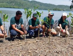 BPJS Ketenagakerjaan Palu Tanam 200 Mangrove di Donggala