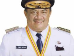 Mantan Gubsu Syamsul Arifin wafat di Jakarta