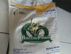 Disinyalir Terdapat Pungli Pengambilan Beras Bantuan di Desa Sipatuhu