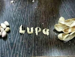 Dinasti Politik Seperti Kacang Lupa Kulit Dalam Berpolitik