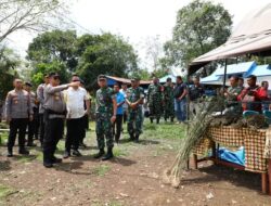Perburuan 150 Ha Ladang Ganja oleh Polda Sumut Gunakan Teknologi Citra Satelit.