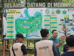 Sun Tree Indonesia gelar observasi hewan dan gotong royong di Medan Zoo