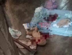 Kecewa lahirkan anak laki-laki, seorang ibu di Labura bunuh bayinya