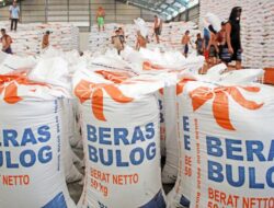 Menimbang Kelembagaan Baru BULOG di Bawah Presiden: Tantangan dan Implikasinya