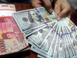 Cadangan Devisa Anjlok USD 4,6 Miliar: Bahayakah untuk Stabilitas Ekonomi ? Ini Saran Perbaikan Ke Depan