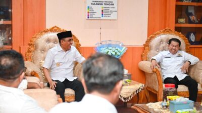 Dorong Pertumbuhan Ekonomi Daerah, Gubernur Sulteng dan Kadin Jalin Kemitraan Strategis