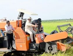 Sektor Pertanian Sumbang 12,67% Tetap Menjadi Penopang Ekonomi Indonesia di Kuartal I Tahun 2026