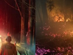 Kebakaran hutan kawasan Danau Toba meluas