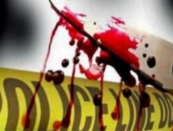 Polisi dibacok saat bekuk pelaku penganiayaan di Langkat