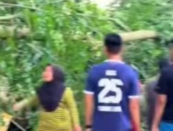 Olahraga sore, remaja tewas tertimpa cabang pohon di Alun Alun Stabat Langkat