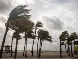 BMKG ungkap penyebab angin kencang di Medan