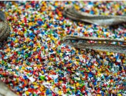 Indonesia juara 1 sedunia telan mikroplastik, ternyata ini sumbernya