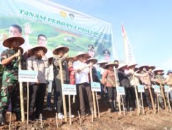 Tanam Perdana Padi Gogo di Ladang Poktan Terpadu Desa Tebedak