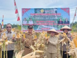 Panen Perdana Jagung, Karolin: Ini langkah Nyata Untuk Memperkuat Ketahanan Pangan