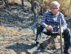 Wilmar Simandjorang, gigih menjaga kawasan Danau Toba