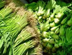 Wajib waspada, ini 12 buah dan sayuran mengandung pestisida tertinggi