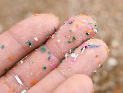 Waspada, mikroplastik ada di mana-mana tapi Anda bisa menghindarinya
