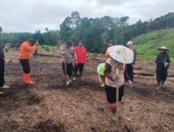 Tanam Jagung di Lahan Demplot, Kapolsek Menyuke: Contoh dan Motivasi Bagi Masyarakat