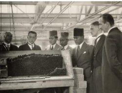 Tembakau Deli, warisan yang membesarkan Medan kini tinggal cerita