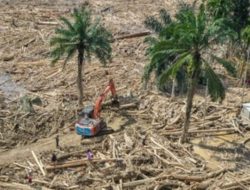 Pemerintah siapkan regulasi pemanfaatan kayu usai banjir Sumatra
