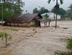 Mengapa Banjir Besar di Aceh, Sumut, dan Sumbar Belum Berstatus Bencana Nasional?