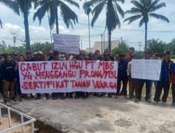 Ini Kata Bupati Karolin Soal Tuntutan Cabut HGU PT. MBS