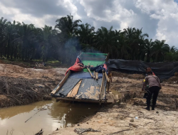 Marak, Aktivitas Tambang Emas Ilegal di Jambi Rusak Lingkungan