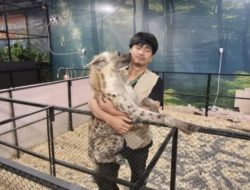 Wildtopia Mini Zoo, wisata edukatif keluarga di Cambridge Medan